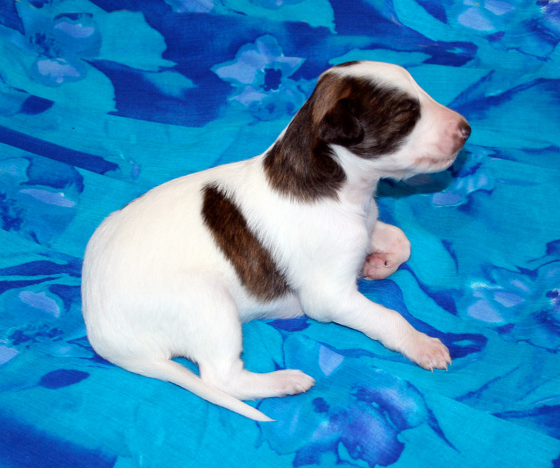 Surf Spots Boy 1 - Head Up